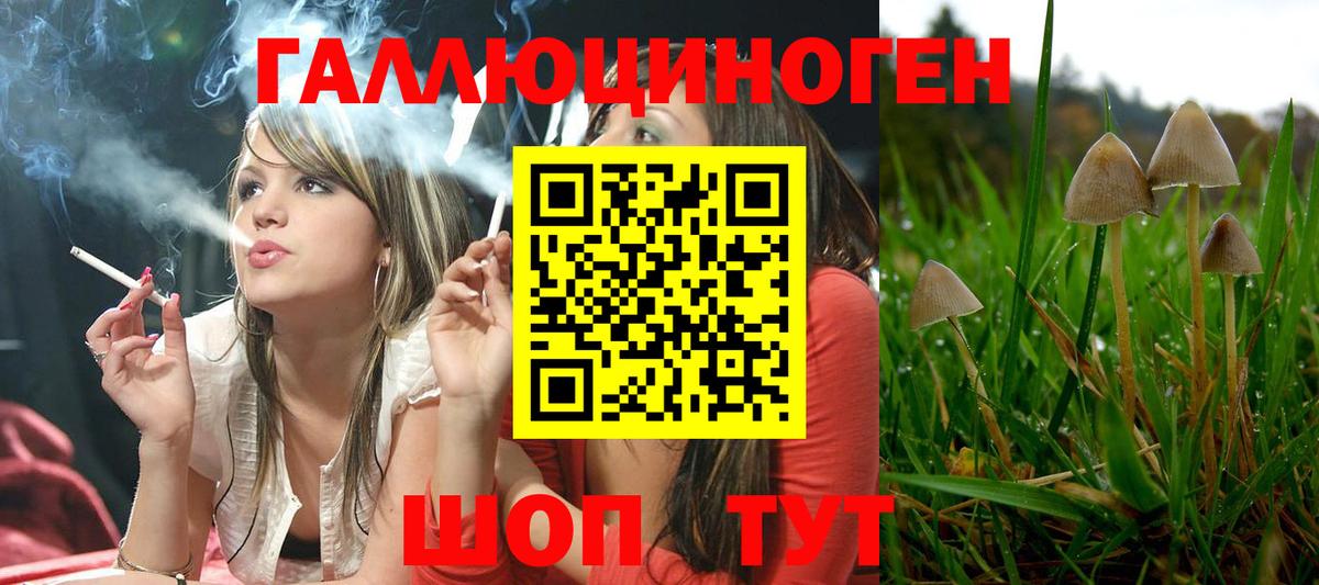 Псилоцибиновые грибы Magic Shrooms  что такое наркотик  Вышний Волочёк  Вход с VPN 